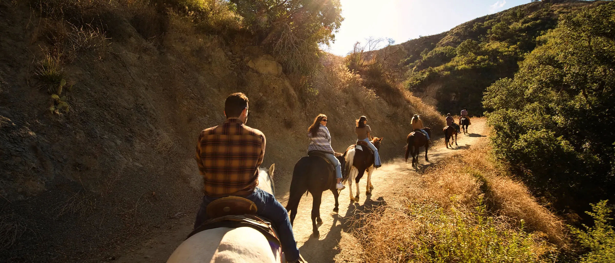 A string of riders heading down the canyon trail straight into the late afternoon sun