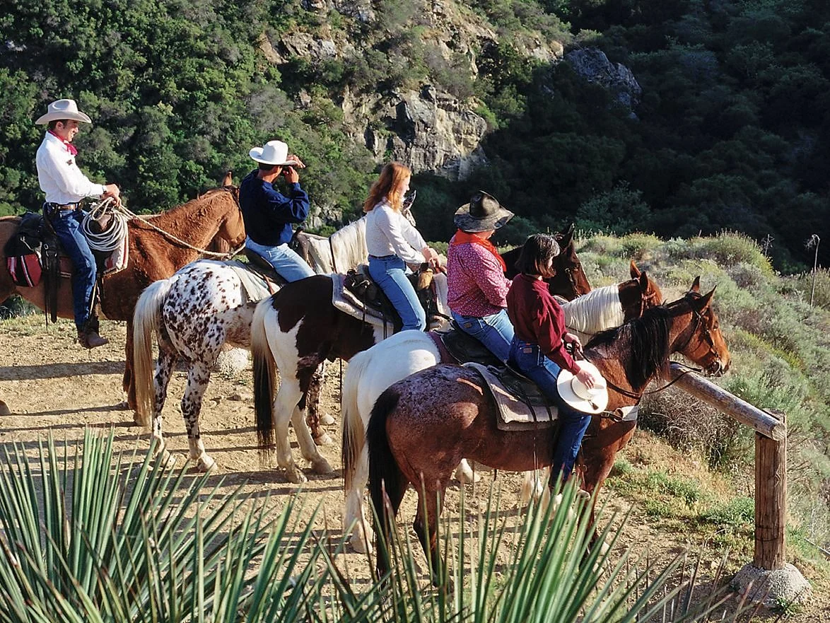 A group on horseback gathered together at the railed lookout above a green, wooded canyon